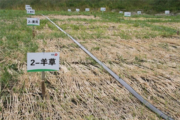 20220310/8eebecef0774c5ae1d2cf97c8dcbef7e.jpg 8eebecef0774c5ae1d2cf97c8dcbef7e.jpg