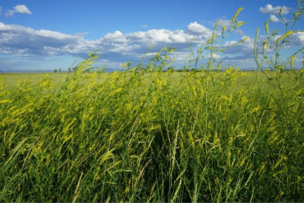 20220310/aba7baf48663cdc23b2c1a78b9fabefb.jpg aba7baf48663cdc23b2c1a78b9fabefb.jpg