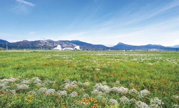 20220310/d31195d986743fb7fab2d320c5218484.jpg d31195d986743fb7fab2d320c5218484.jpg