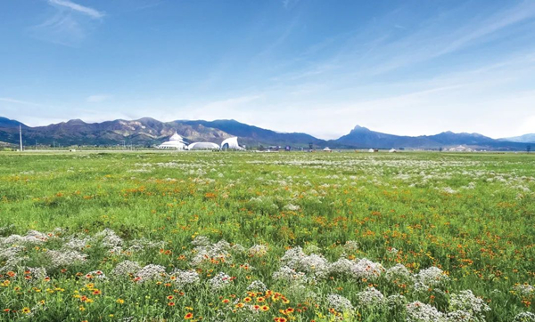 20220518/314c4b2e515c5408df0bcbeafd6e63cb.jpg 314c4b2e515c5408df0bcbeafd6e63cb.jpg