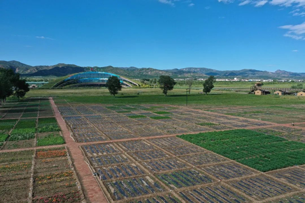 20220518/8509a5bb52d902b3e7092d3a9824e922.jpg 8509a5bb52d902b3e7092d3a9824e922.jpg