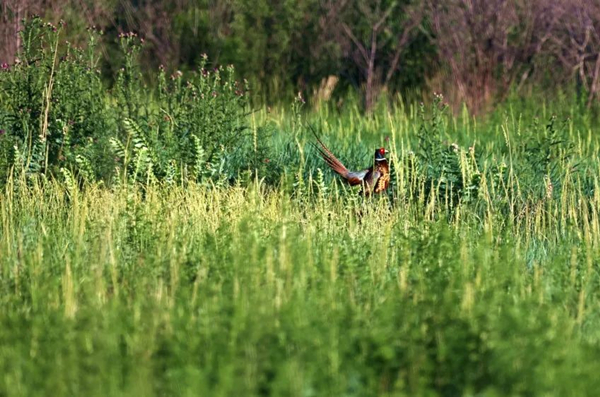 20220518/93c9c7a69cb80cd0d81929bdb7445e6e.jpg 93c9c7a69cb80cd0d81929bdb7445e6e.jpg