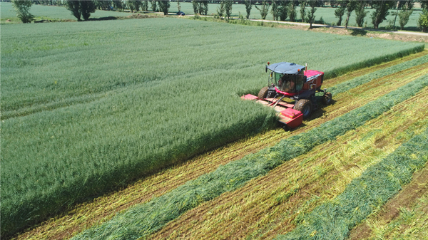 20220811/12a12e50e88d8b5a98644dfdebbed627.jpg 12a12e50e88d8b5a98644dfdebbed627.jpg