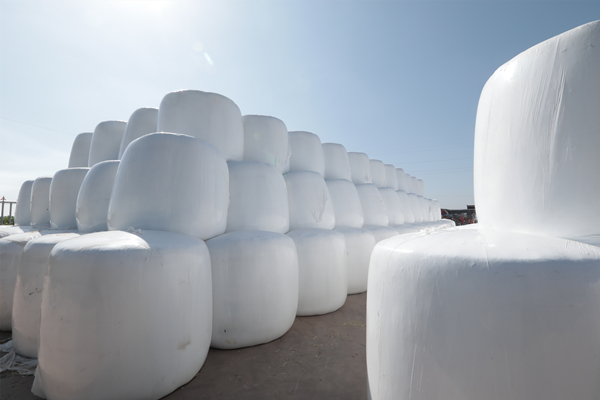 20220811/de8ecdef17cb5cedbf691dd51f8245aa.jpg de8ecdef17cb5cedbf691dd51f8245aa.jpg