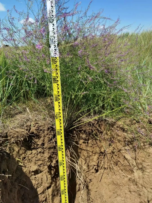 20220826/03752f6cb6c8b6520a59bc4821415591.jpg 03752f6cb6c8b6520a59bc4821415591.jpg