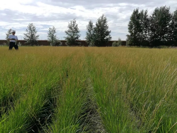 20220826/529270657ce1f1fb5794befbefa04edf.jpg 529270657ce1f1fb5794befbefa04edf.jpg