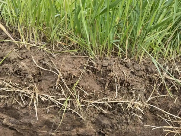 20220826/df4139d678b44a40c0503c7b5d0ff85f.jpg df4139d678b44a40c0503c7b5d0ff85f.jpg