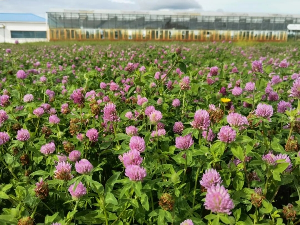 20220826/e5052c9c031bc761dd8f1f392cc3d3a8.jpg e5052c9c031bc761dd8f1f392cc3d3a8.jpg