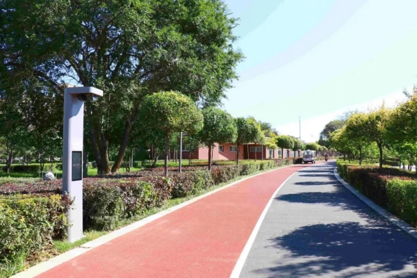 20230221/501cc46174bd6465444c4ee121f381b1.jpg 501cc46174bd6465444c4ee121f381b1.jpg