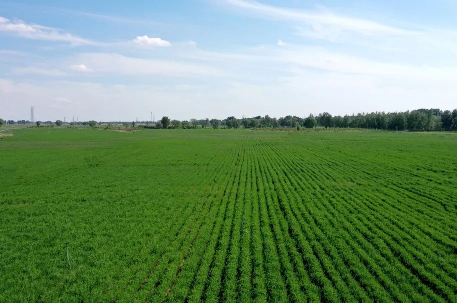 20230713/0150e36e2653ab06fa91460f5c99dddc.jpg 20230713/0150e36e2653ab06fa91460f5c99dddc.jpg