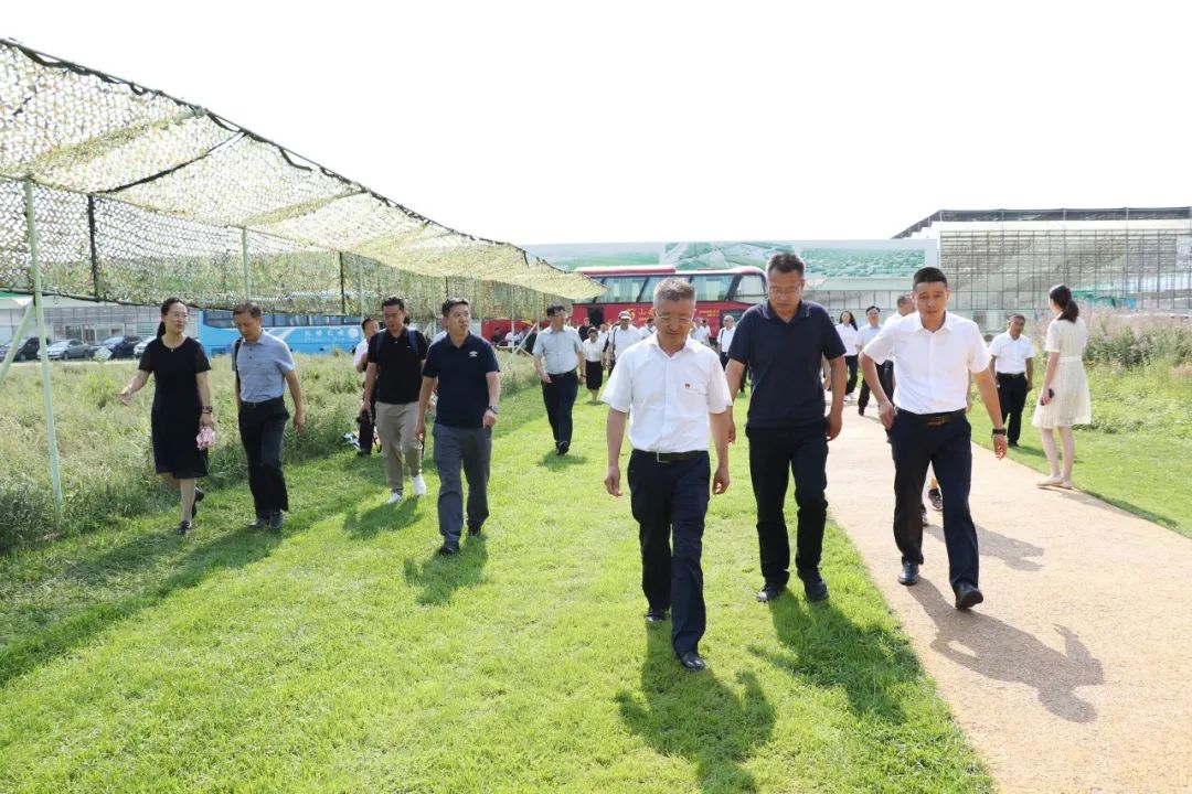 20230724/3673523f814e96954cee4f3cf61c89da.jpg 20230724/3673523f814e96954cee4f3cf61c89da.jpg