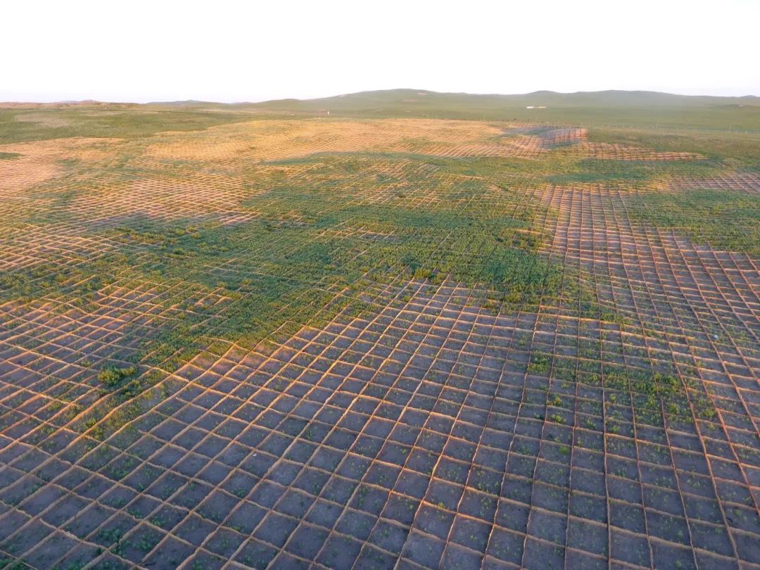 20240313/ade80048be04e7db319bbcc392d021bf.jpg 20240313/ade80048be04e7db319bbcc392d021bf.jpg