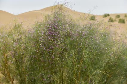 20240313/bbdcf76ed4cb10aaa80397de3ce16697.jpg 20240313/bbdcf76ed4cb10aaa80397de3ce16697.jpg