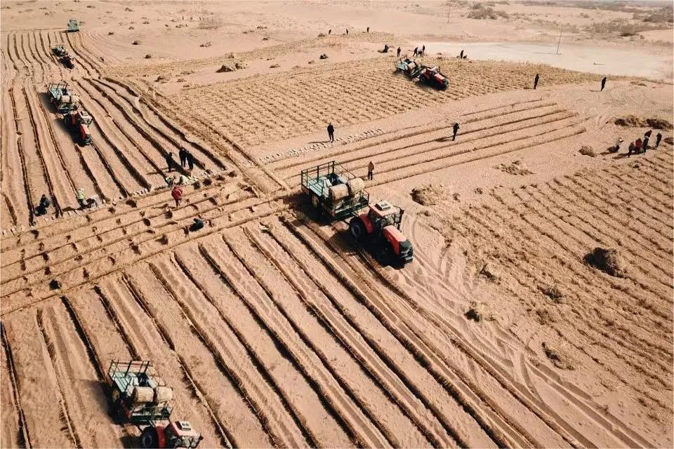 20240407/fce0735c0fadfe5b7f50ddc290b4f3b5.jpg 20240407/fce0735c0fadfe5b7f50ddc290b4f3b5.jpg