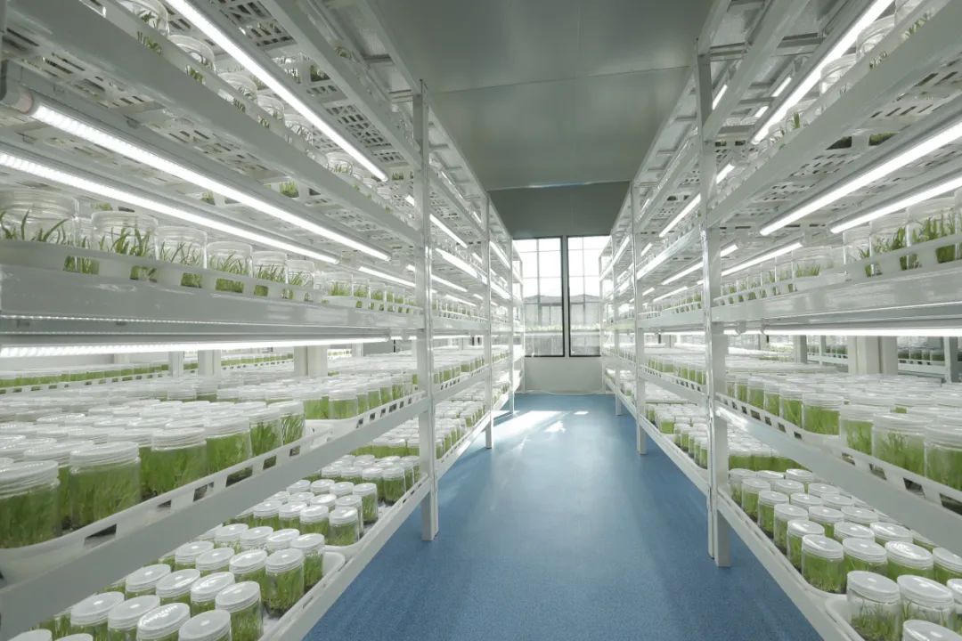 20240415/77182278a45642d9433c0fce50e4c704.jpg 20240415/77182278a45642d9433c0fce50e4c704.jpg