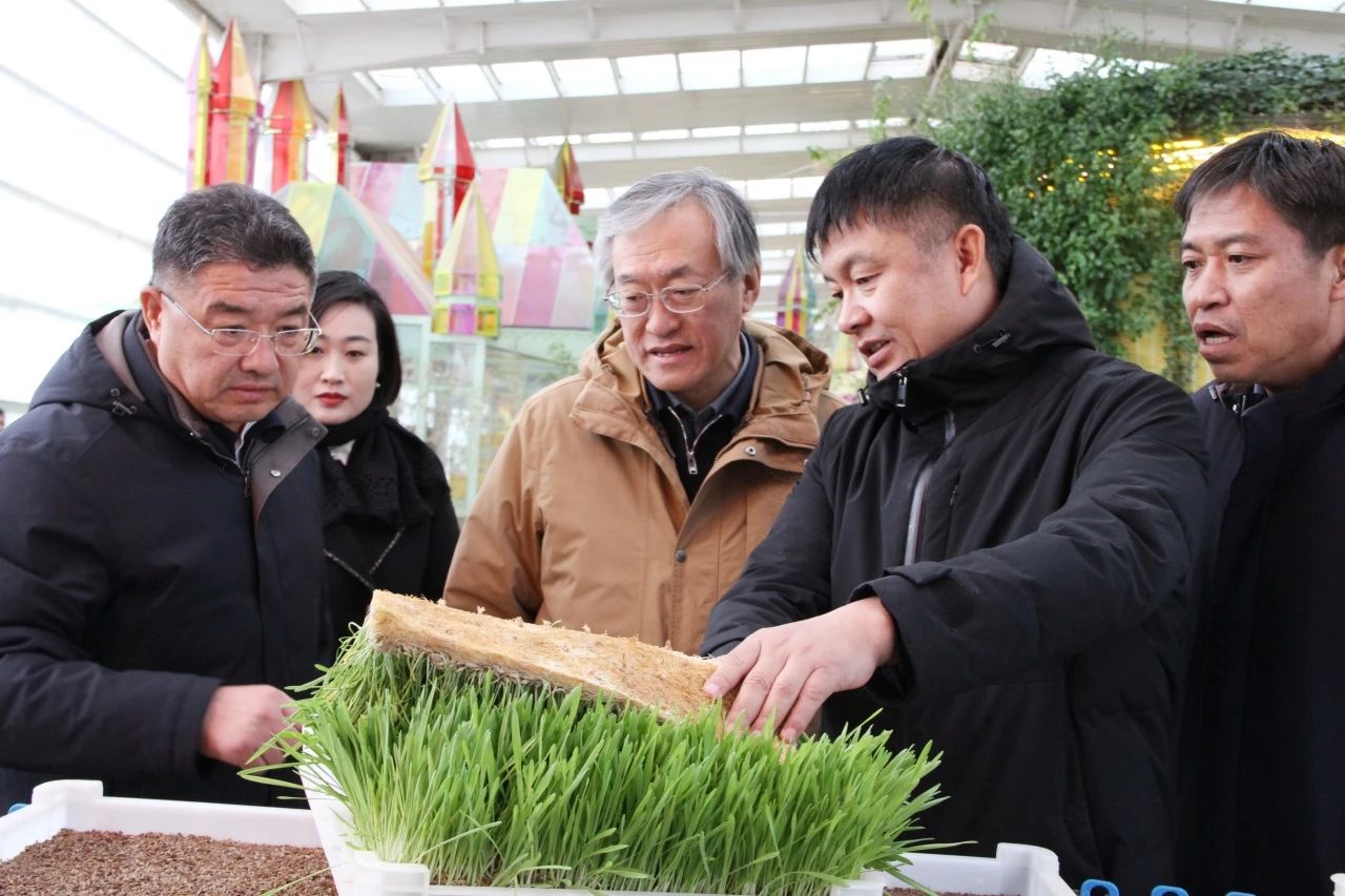 20241226/223f6f301809b75231ee03dc273d1e1f.jpg 20241226/223f6f301809b75231ee03dc273d1e1f.jpg