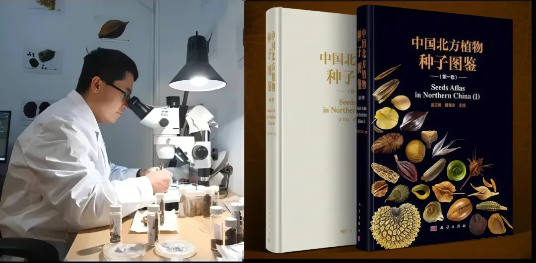 20250225/3ed8a7e041afbcc9afbbe320b467b497.jpg 20250225/3ed8a7e041afbcc9afbbe320b467b497.jpg