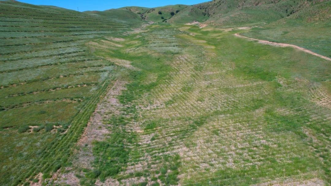 20250623/312bd2f7f122485fda00f3680694d9e5.jpg 20250623/312bd2f7f122485fda00f3680694d9e5.jpg